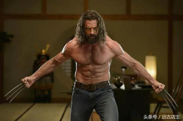 对《金刚狼》实力的综合分析