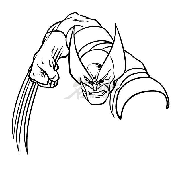 金刚狼入门画法