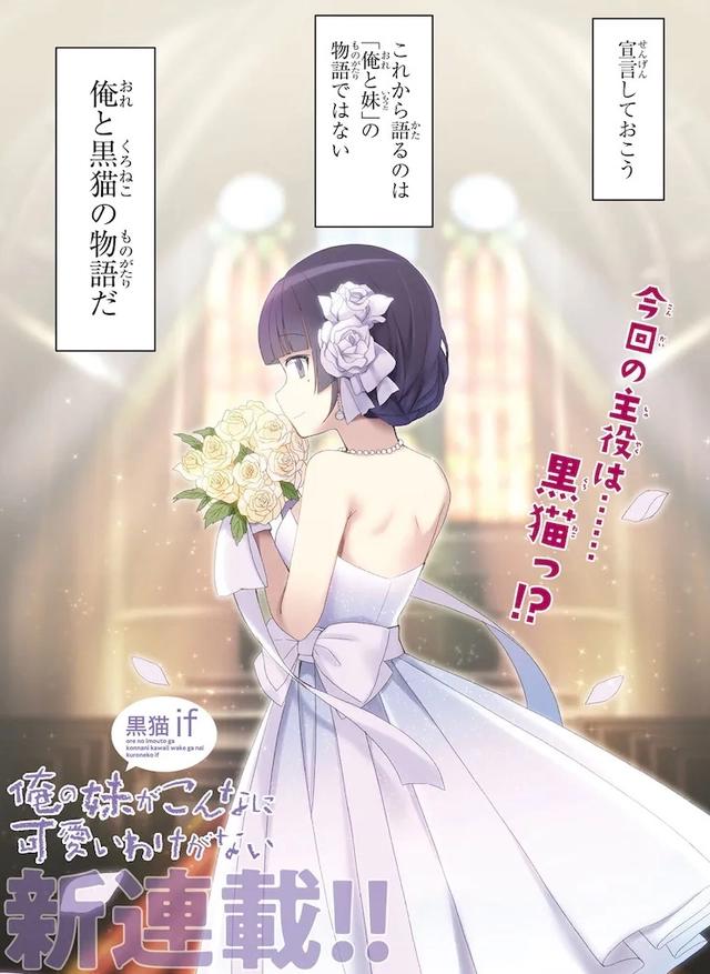 《俺妹黑猫IF》漫画版开始连载，黑猫党的狂欢，弥补当年的意难平