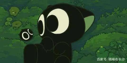 动漫中10大名猫，都是什么品种？