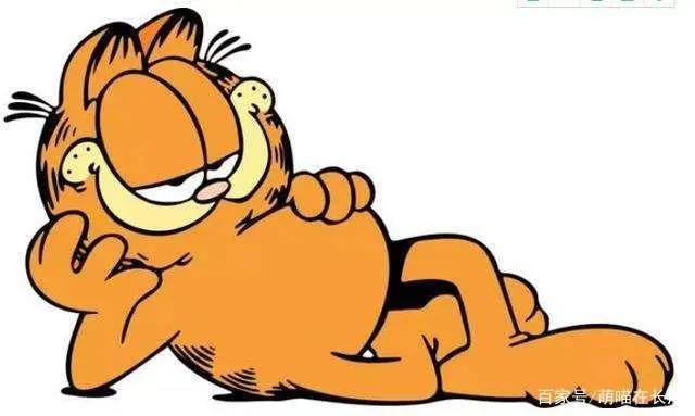 动漫中10大名猫，都是什么品种？