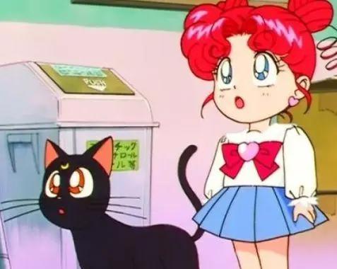 那些经典动画里面的猫咪，原型长啥样？黑猫警长居然不是黑猫！