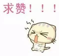 【出游】马上要春节啦！这些特惠和免费的活动你必须知道！