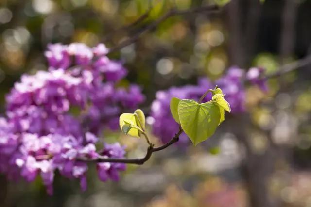 古体诗一百四十五首