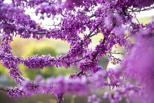 古体诗一百四十五首