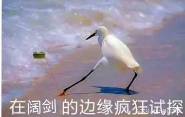 玩梗为什么会让人满足，玩梗过度像是玩梗之余插播动画，甚至伤人