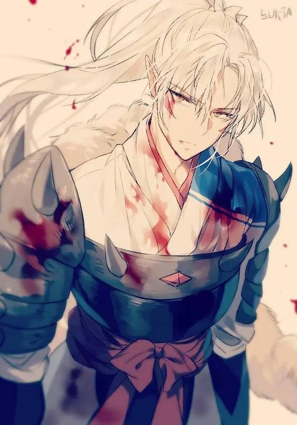 犬夜叉的十大妖怪排行榜，犬大将只能排第二