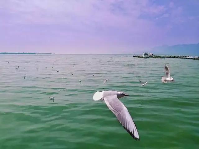 大理和香格里拉的梦幻之旅，这里大概是我见过的最美天空！