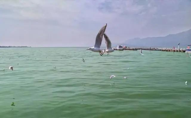 大理和香格里拉的梦幻之旅，这里大概是我见过的最美天空！