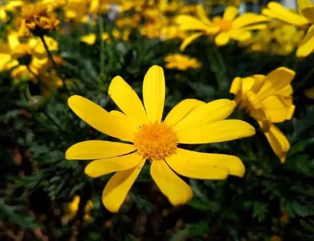 大理和香格里拉的梦幻之旅，这里大概是我见过的最美天空！