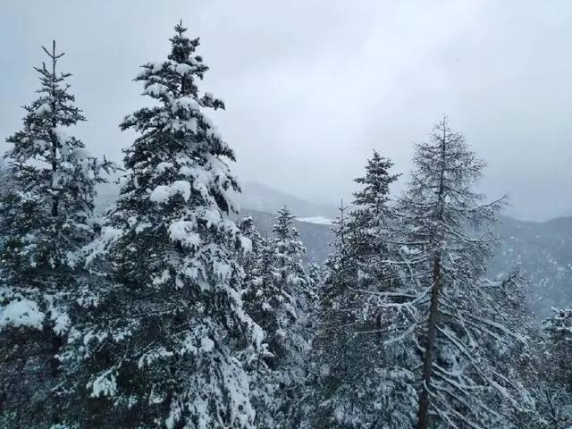 大理和香格里拉的梦幻之旅，这里大概是我见过的最美天空！