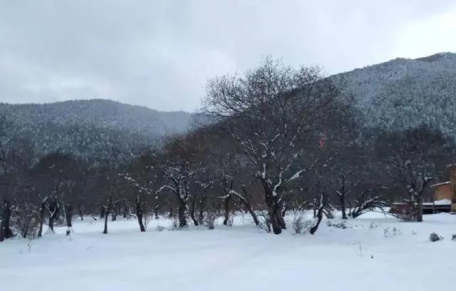 大理和香格里拉的梦幻之旅，这里大概是我见过的最美天空！