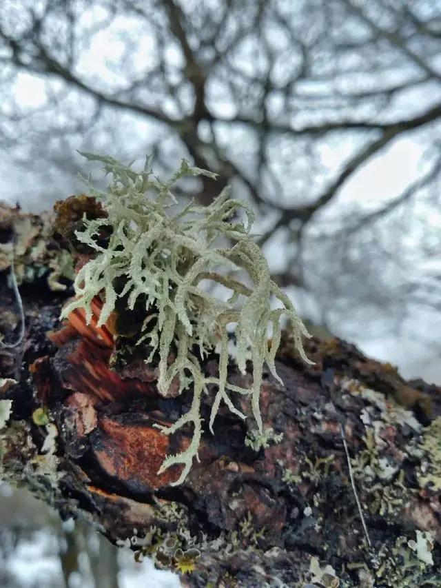 大理和香格里拉的梦幻之旅，这里大概是我见过的最美天空！