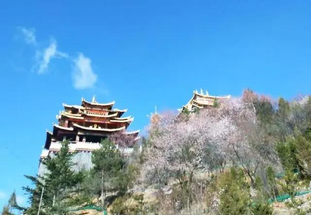 大理和香格里拉的梦幻之旅，这里大概是我见过的最美天空！