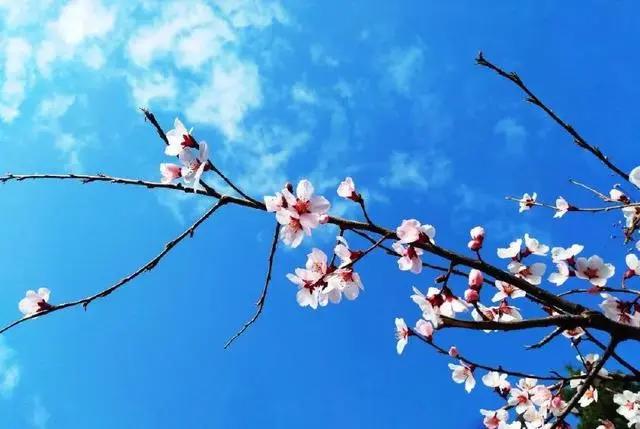 大理和香格里拉的梦幻之旅，这里大概是我见过的最美天空！