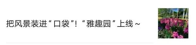 梦回童年！最棒的动漫视听音乐会本月14日青城奏响！