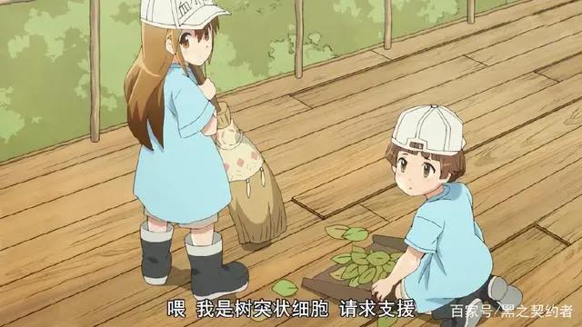 优秀漫改动画推荐，部部都是精品