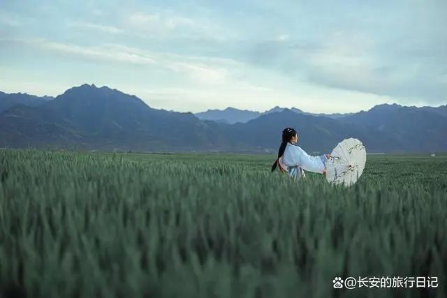 距离西安最近的秦岭麦田，仿佛来到了宫崎骏的动漫世界