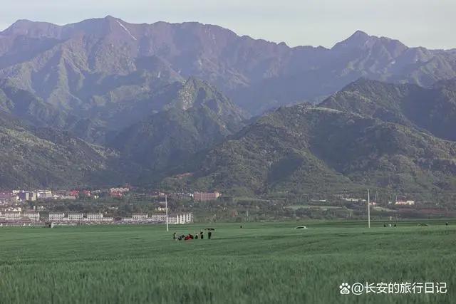 距离西安最近的秦岭麦田，仿佛来到了宫崎骏的动漫世界