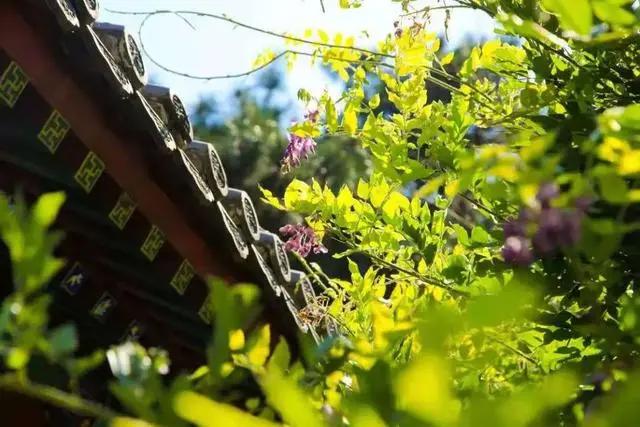 「文明旅游」一路向北，看山、看水、赏美景~