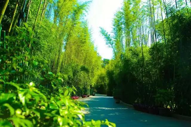 「文明旅游」一路向北，看山、看水、赏美景~