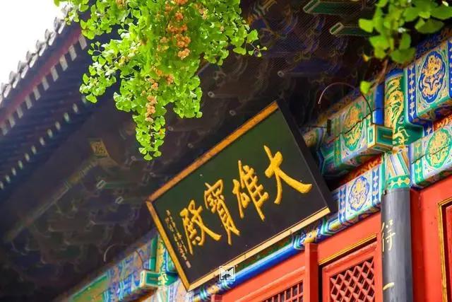 「文明旅游」一路向北，看山、看水、赏美景~