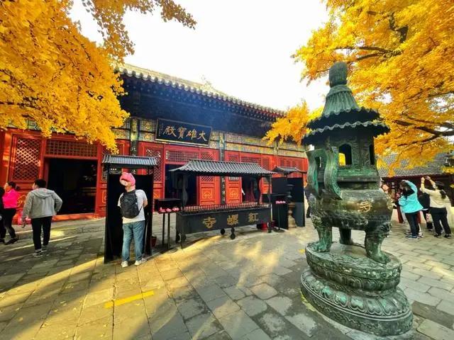 「文明旅游」一路向北，看山、看水、赏美景~