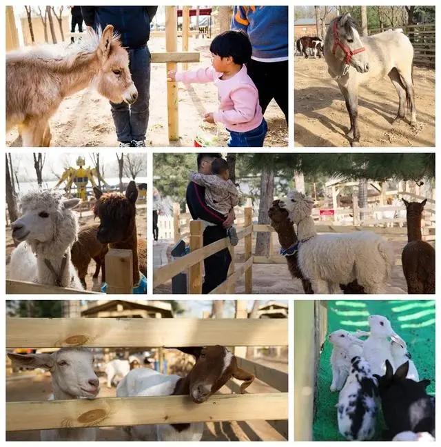 「文明旅游」一路向北，看山、看水、赏美景~