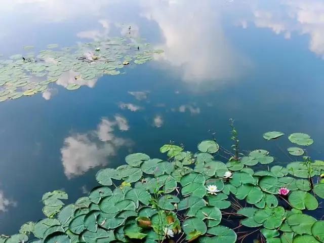 「文明旅游」一路向北，看山、看水、赏美景~