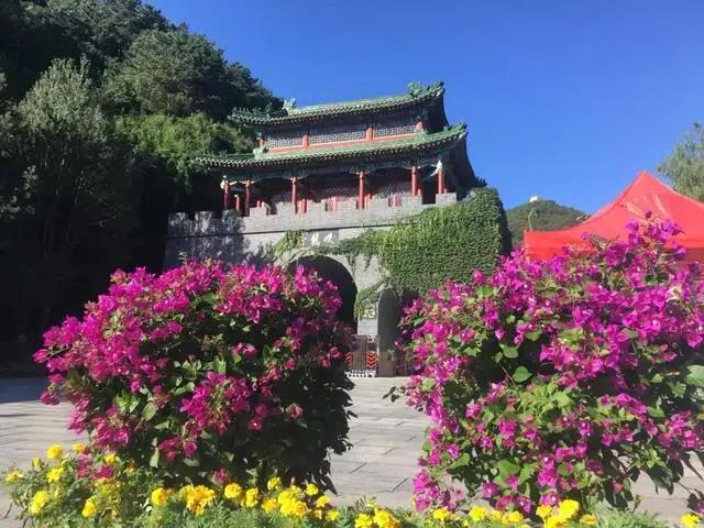 「文明旅游」一路向北，看山、看水、赏美景~