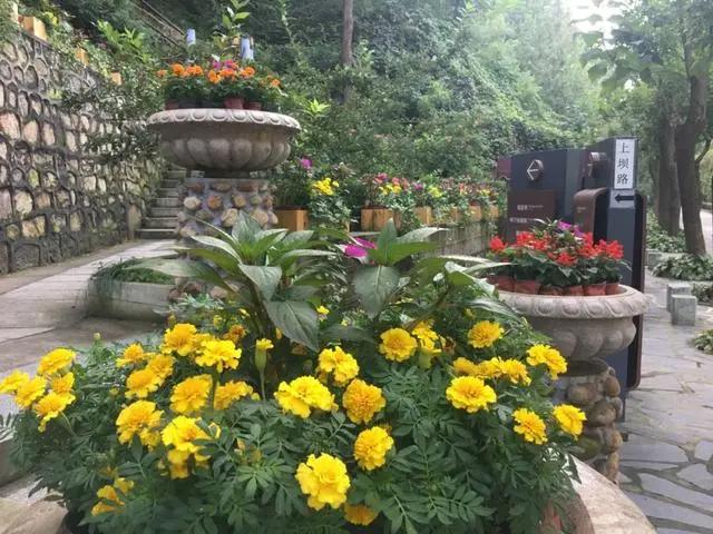 「文明旅游」一路向北，看山、看水、赏美景~