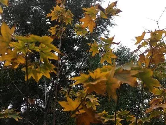 「文明旅游」一路向北，看山、看水、赏美景~