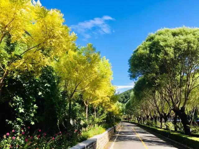 「文明旅游」一路向北，看山、看水、赏美景~