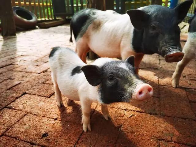 「文明旅游」一路向北，看山、看水、赏美景~