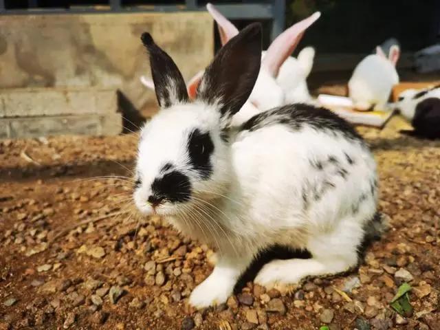 「文明旅游」一路向北，看山、看水、赏美景~