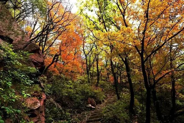 「文明旅游」一路向北，看山、看水、赏美景~