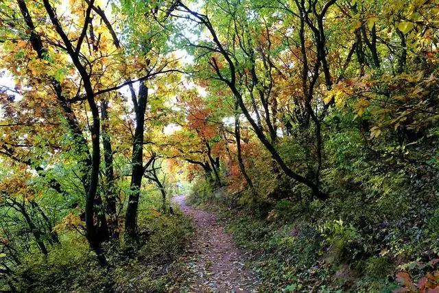 「文明旅游」一路向北，看山、看水、赏美景~