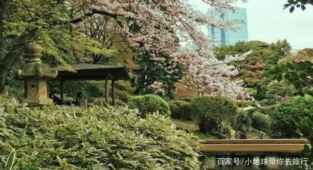 跟着日本经典动画去旅行，让你冲破次元，感受樱花的少女心