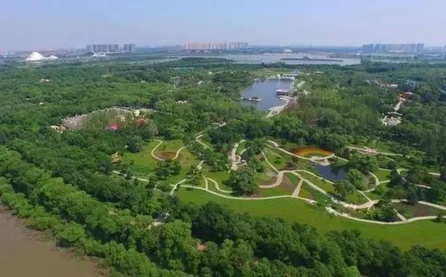 河北到哈尔滨新通高铁啦！一路向北过凉夏，暑假走起