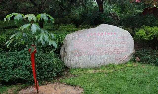 浅析《圣斗士星矢》中“沙罗双树园”对释迦摩尼涅槃之地的借鉴