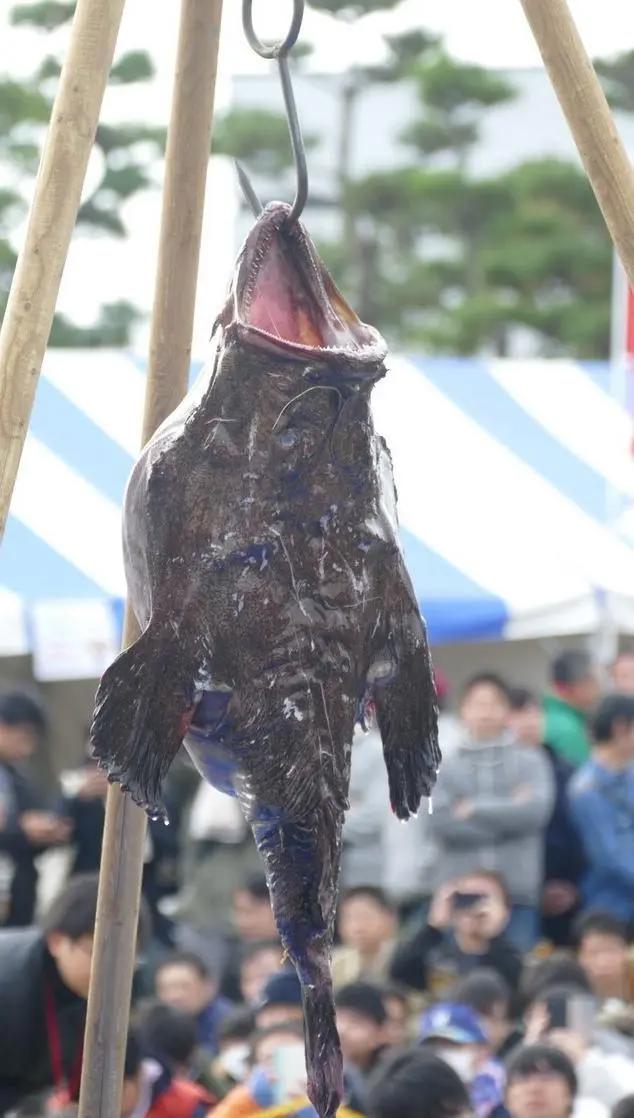 奇葩痛战车集结！《少女与战车》线下祭典大会盛况直击