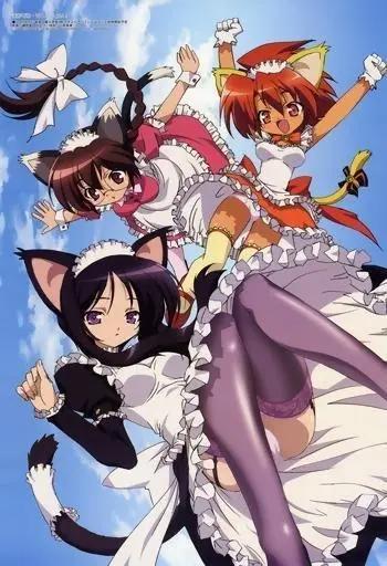 动漫：二次元就是好，能开这么多后宫妹子！