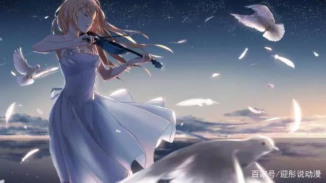 你可以不爱打游戏，也可以不爱到处旅游，但不能不看动漫！