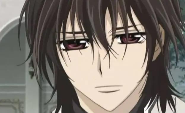 盘点：动漫中的五大帅哥，《吸血鬼骑士》中就有两个