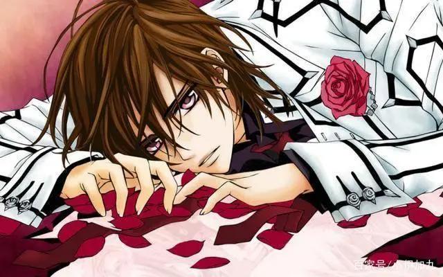 老番推荐：三部好看又冷门的动漫，《吸血鬼骑士》你看过吗