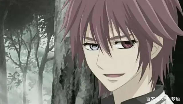 《吸血鬼骑士》六大贵族吸血鬼，你爱了吗？