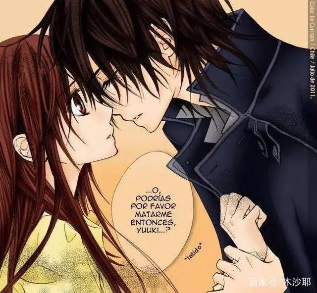 《吸血鬼骑士》－日本少女漫的闪耀明星