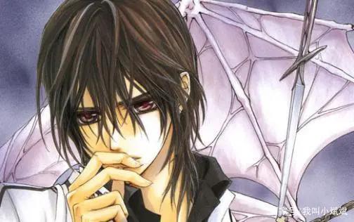 吸血鬼骑士：一部美男云集的神转折动漫