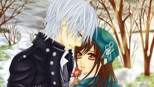 吸血鬼骑士：一部美男云集的神转折动漫