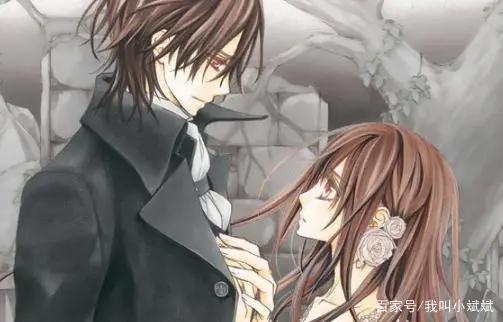 吸血鬼骑士：一部美男云集的神转折动漫